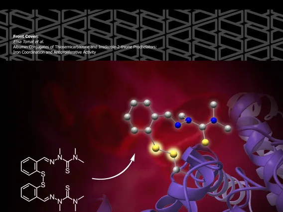 Cover art for ChemMedChem, September 2021