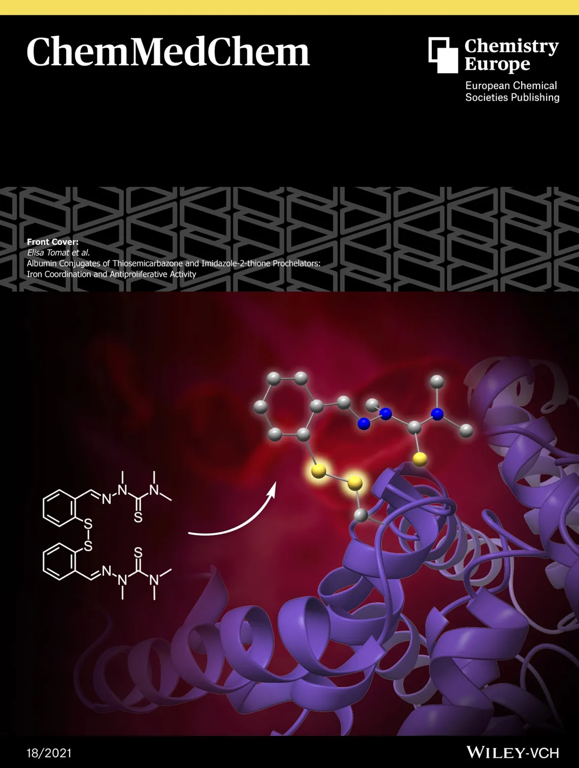 Cover art for ChemMedChem, September 2021