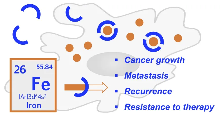 Graphical abstract